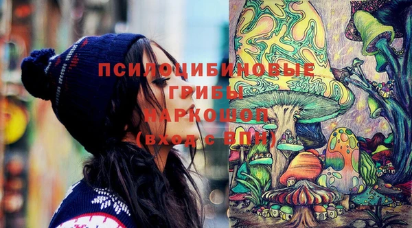 спиды Верея