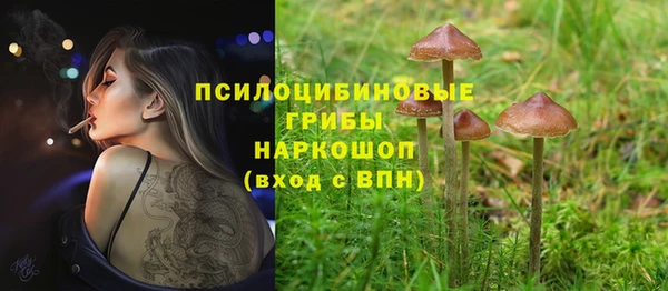 спиды Верея
